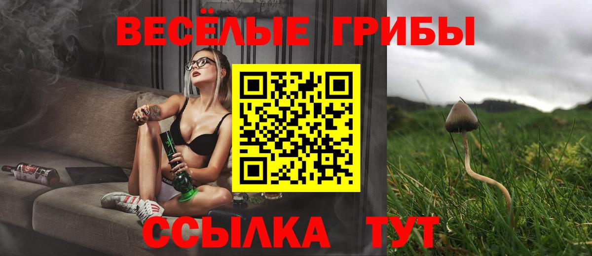 Галлюциногенные грибы Psilocybine cubensis  Псилоцибиновые грибы мухоморы  что такое наркотик  Вход с VPN  Кувандык 